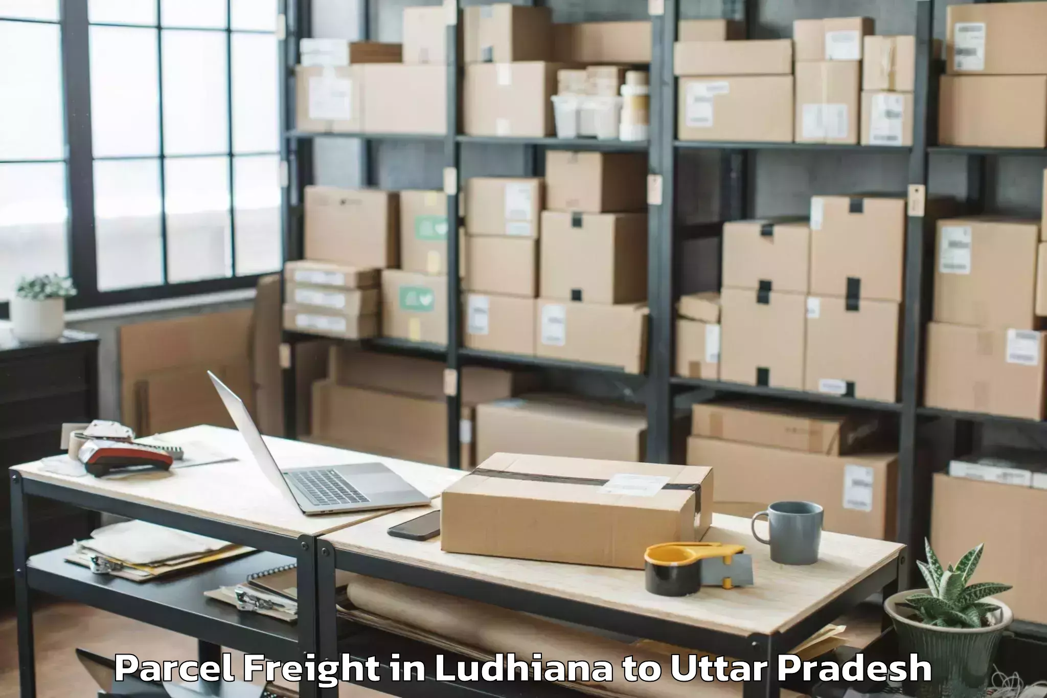 Book Ludhiana to Manjhanpur Parcel Freight Online